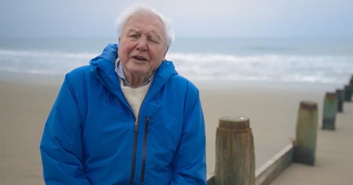 Milepost: David Attenborough
