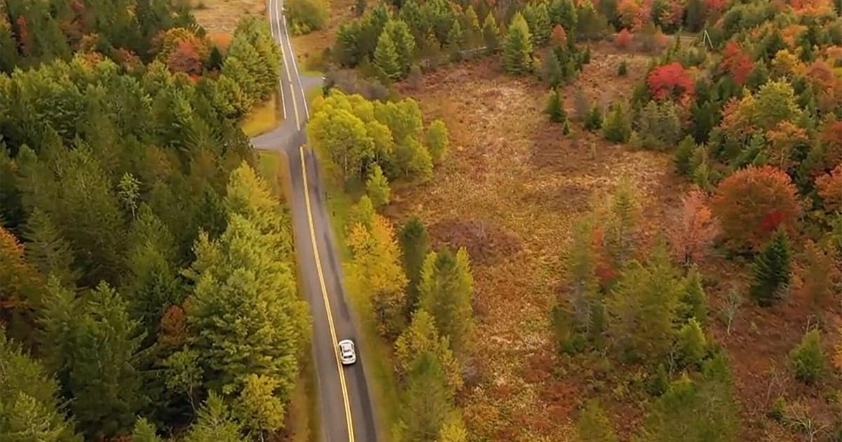 "Take Me Home, Country Roads" and the universal pull towards home