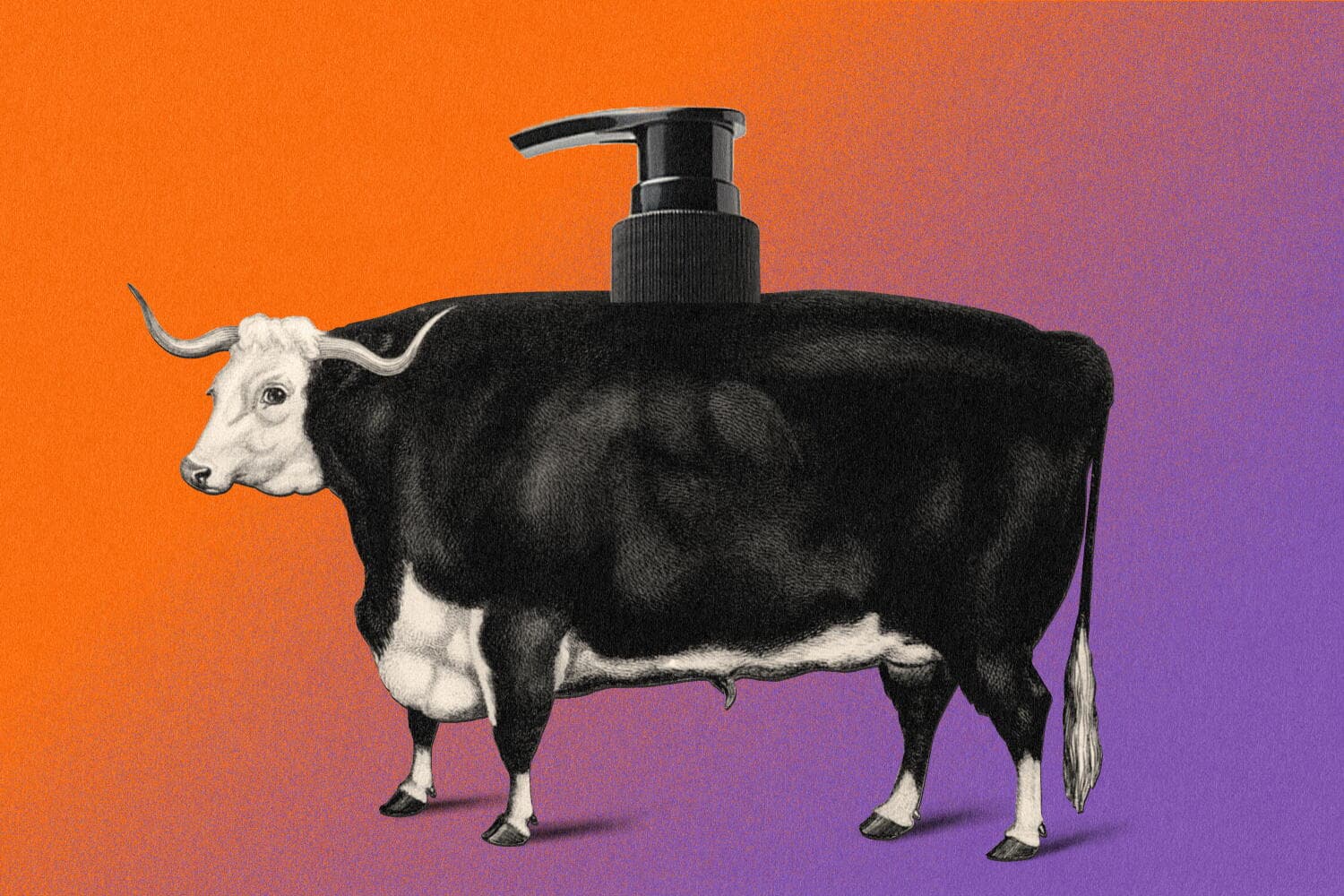 What's the deal with ... people smearing beef tallow on their faces?