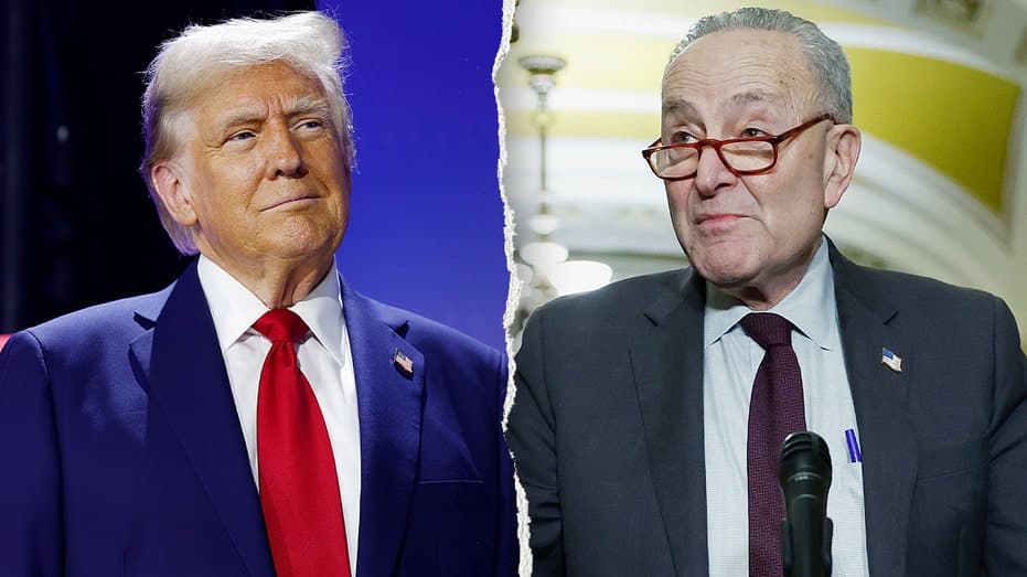 Schumer, Dems block DHS funding again as Trump intervenes to pay TSA agents
